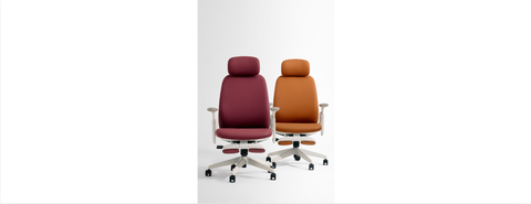 Best Ergonomic Office Chairs for Short Individuals