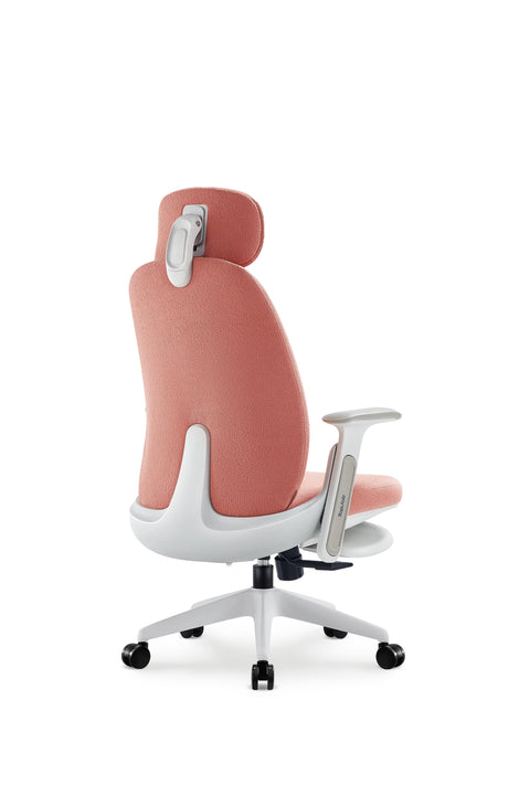 Napa Ergonomic Chair