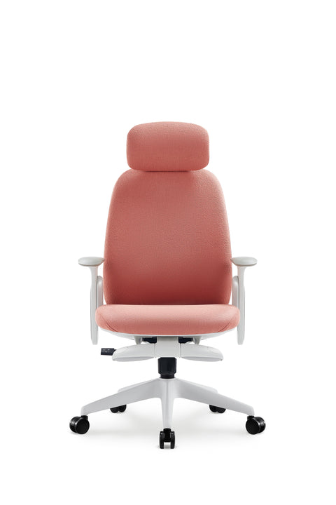 Napa Ergonomic Chair