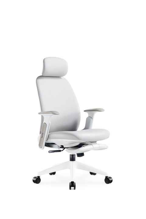 Napa Ergonomic Chair