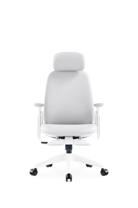 Napa Ergonomic Chair