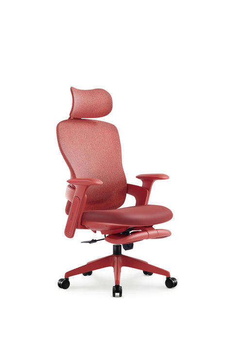 Aura Ergonomic Chair