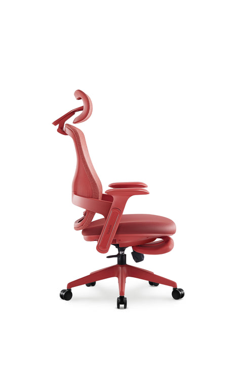 Aura Ergonomic Chair