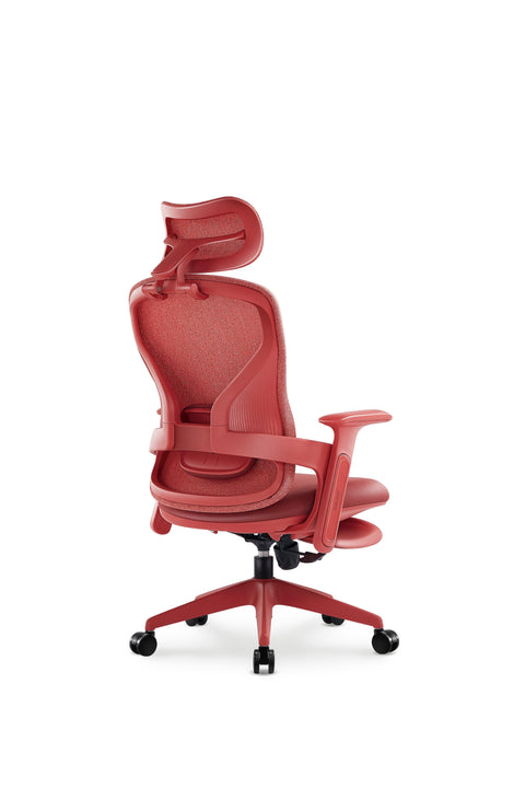 Aura Ergonomic Chair