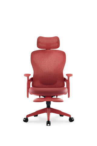 Aura Ergonomic Chair