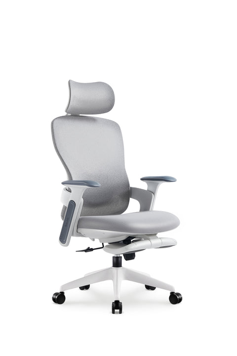 Aura Ergonomic Chair