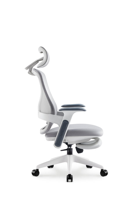 Aura Ergonomic Chair