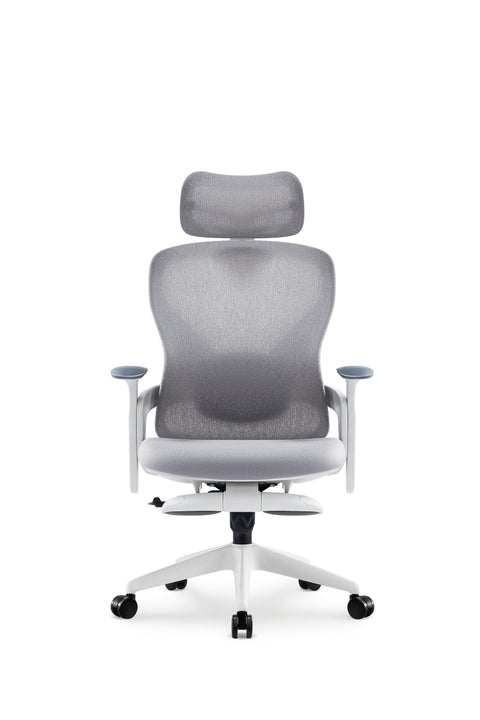 Aura Ergonomic Chair