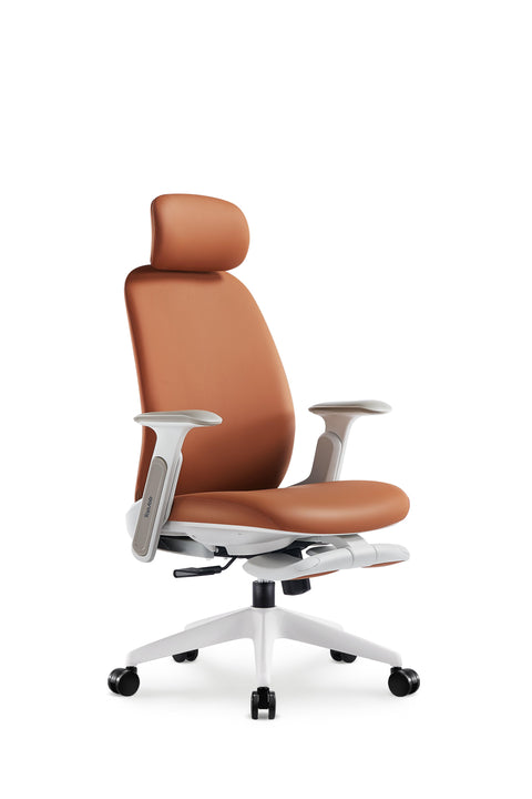 Napa Ergonomic Chair