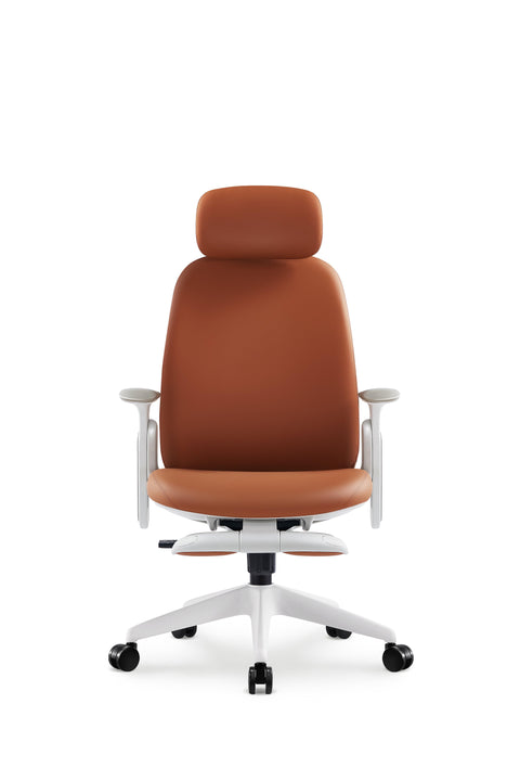 Napa Ergonomic Chair