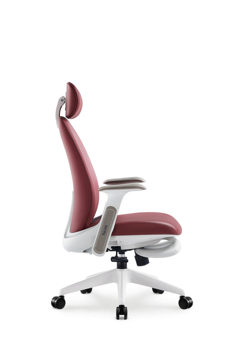 Napa Ergonomic Chair