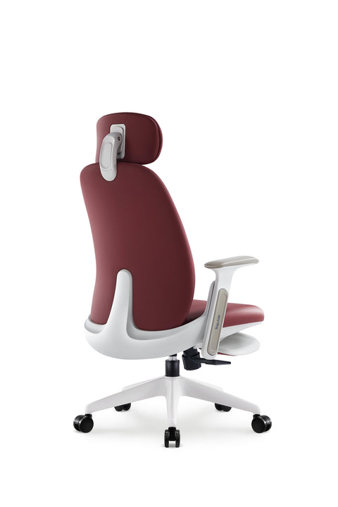 Napa Ergonomic Chair