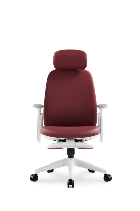 Napa Ergonomic Chair