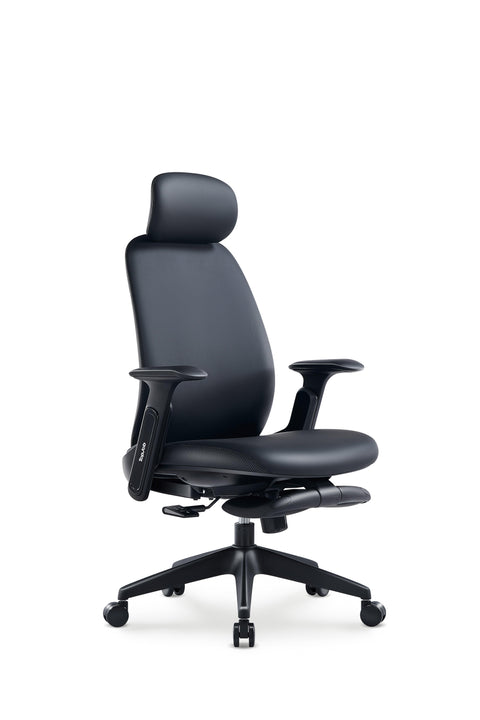 Napa Ergonomic Chair