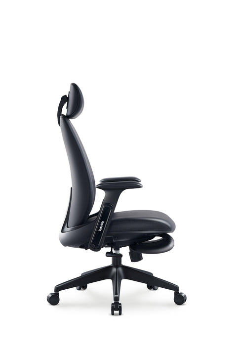 Napa Ergonomic Chair