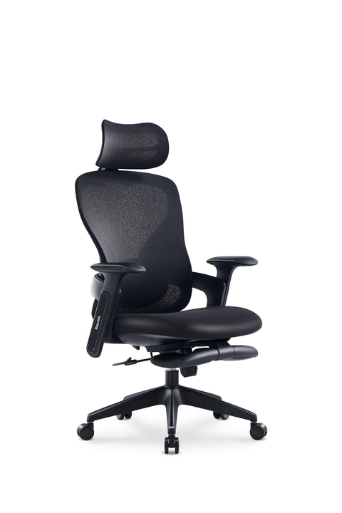 Aura Ergonomic Chair