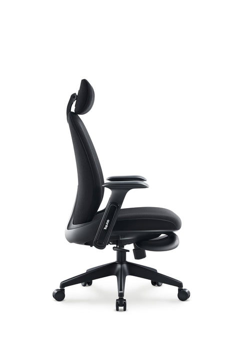 Napa Ergonomic Chair