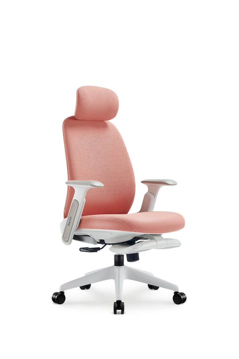 Napa Ergonomic Chair