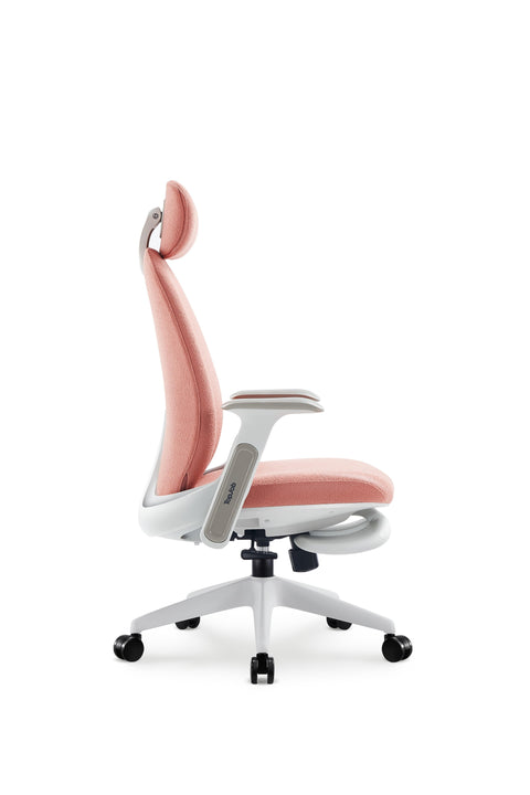 Napa Ergonomic Chair