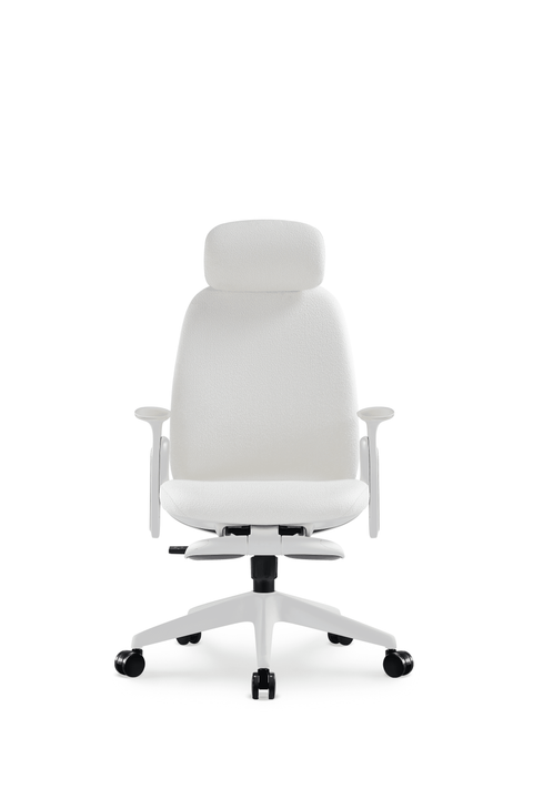 Napa Ergonomic Chair