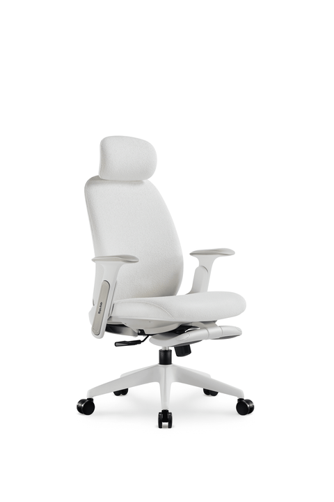 Napa Ergonomic Chair