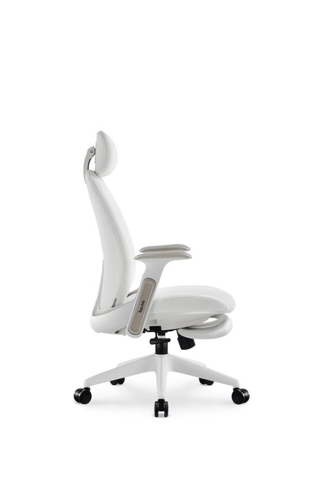 Napa Ergonomic Chair