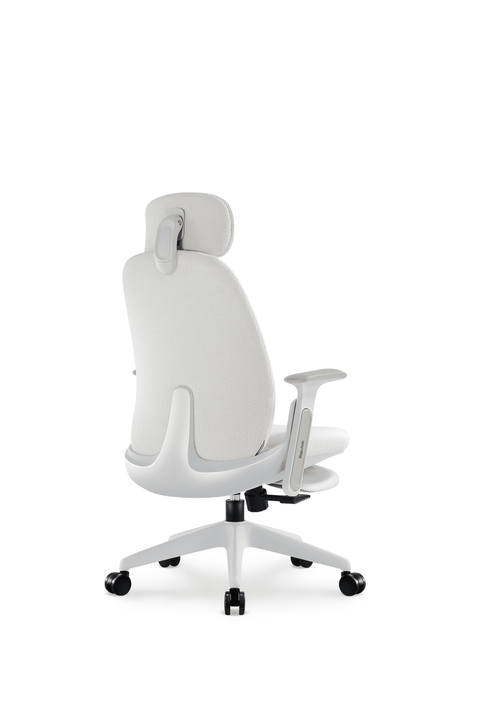 Napa Ergonomic Chair