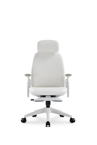 Napa Ergonomic Chair