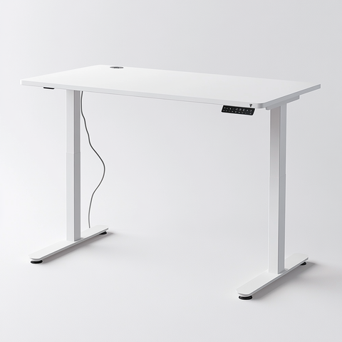 Entry Electric Standing Desks